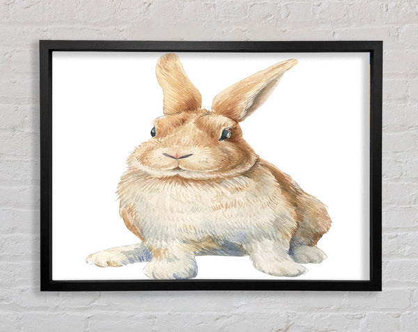 The Cute Little Rabbit Framed Print