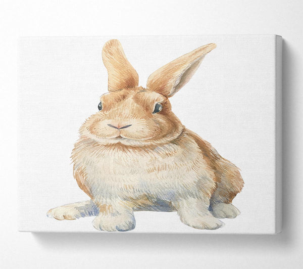  A Canvas Print of The Cute Little Rabbit Canvas Art