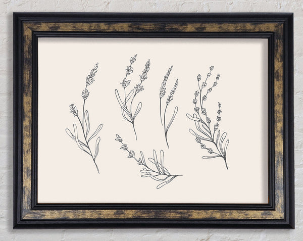 The Fine Flowers Of Britain Framed Print