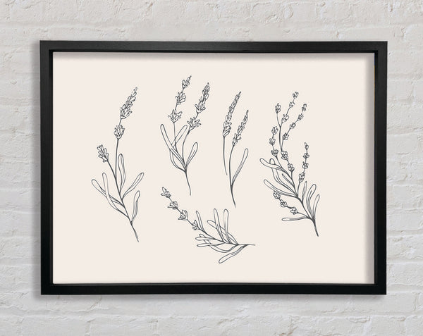 The Fine Flowers Of Britain Framed Print