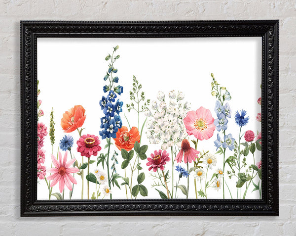 Flowers In The Meadow Framed Print