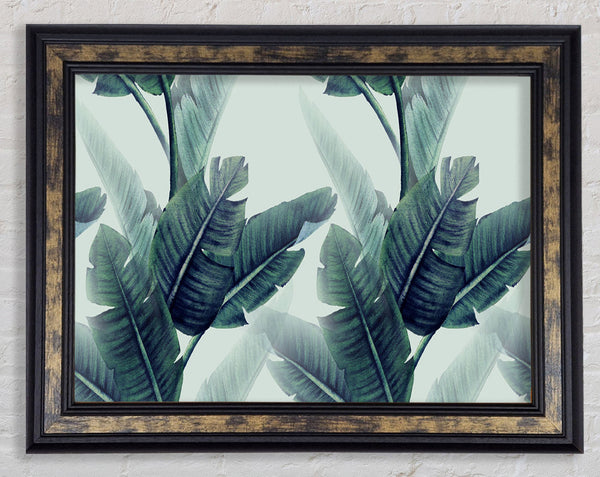 Green Banana Leaves Framed Print