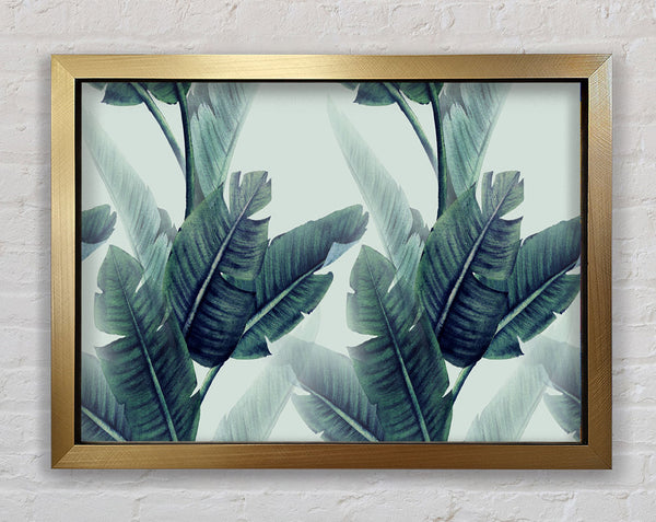 Green Banana Leaves Framed Print