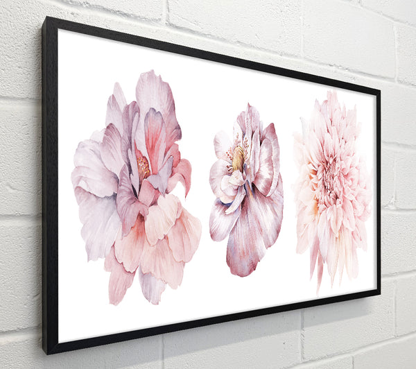 Three Pink Flower Beauty