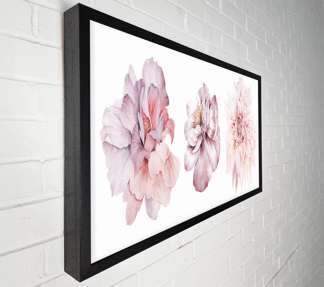  A Canvas Print of Three Pink Flower Beauty Canvas Art