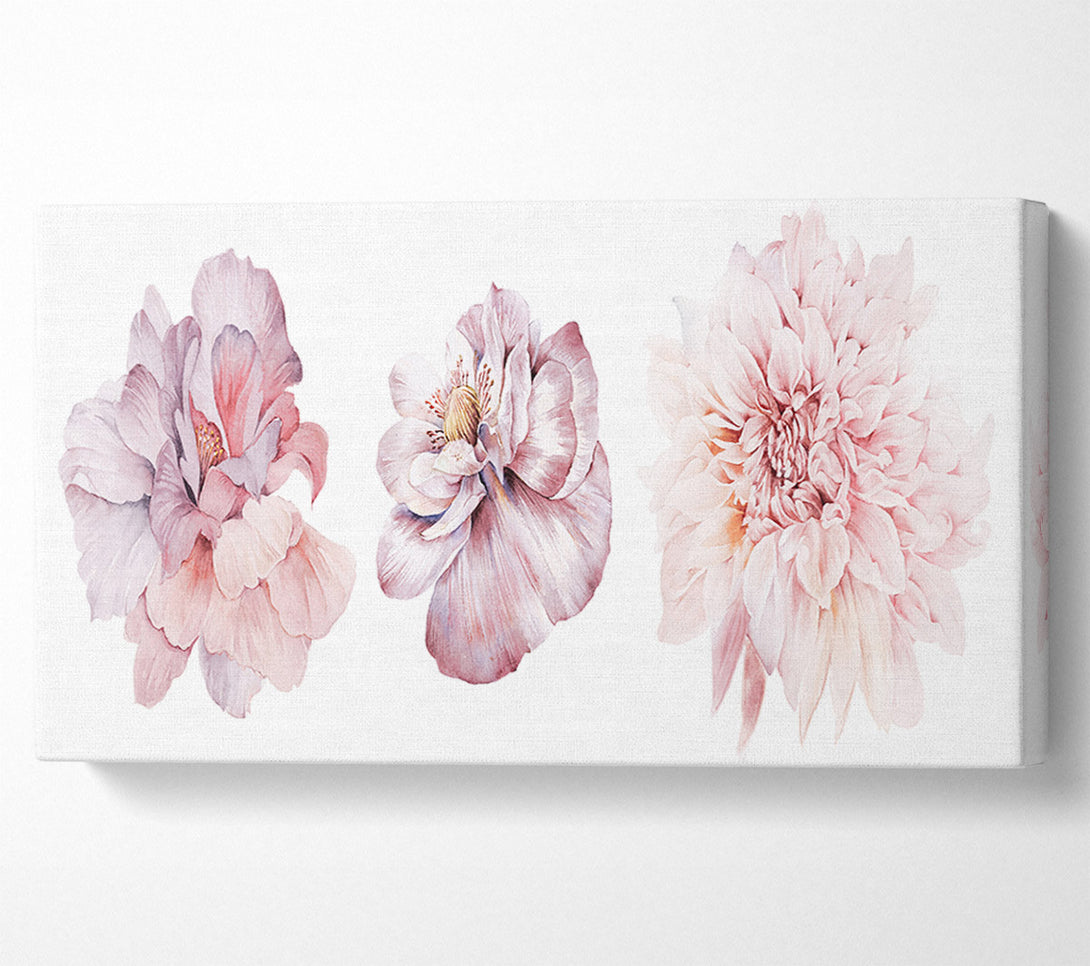  A Canvas Print of Three Pink Flower Beauty Canvas Art