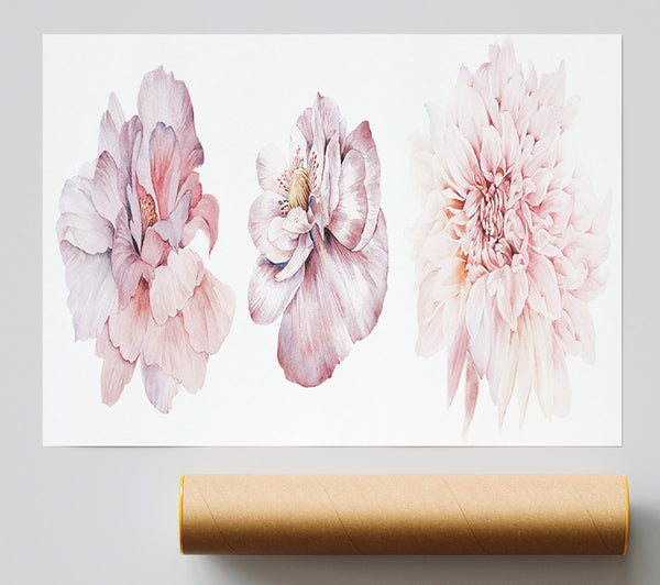 Three Pink Flower Beauty Giclee Print