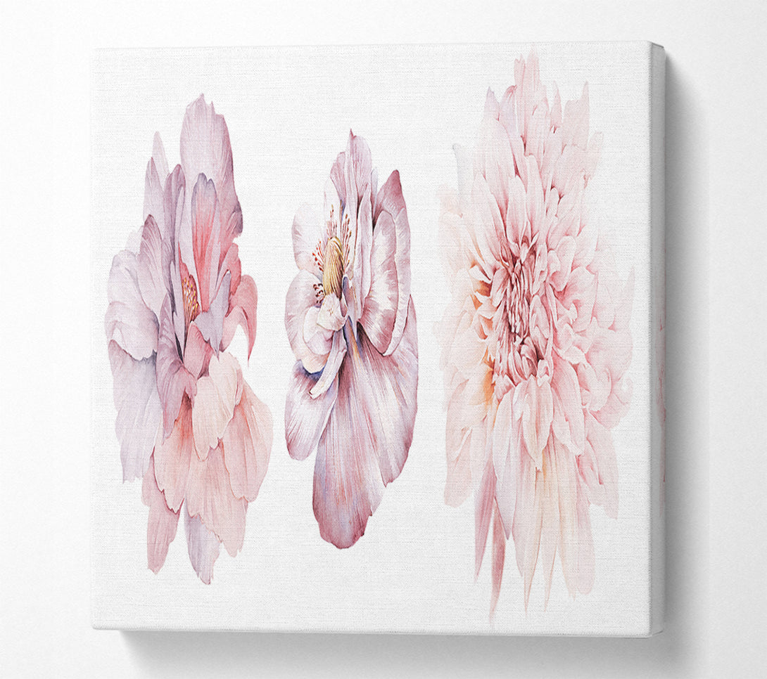  A Canvas Print of Three Pink Flower Beauty Canvas Art