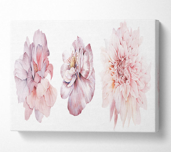  A Canvas Print of Three Pink Flower Beauty Canvas Art
