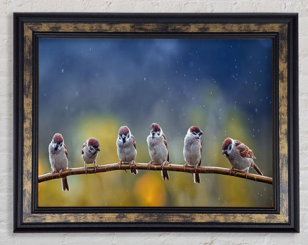 The Tits On A Branch Framed Print