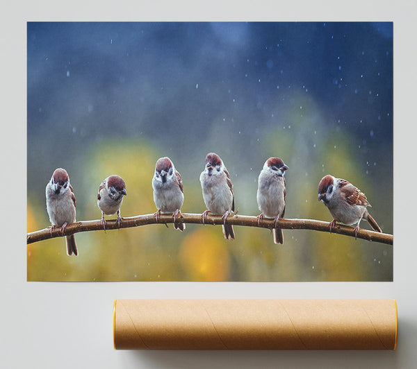 The Tits On A Branch Poster
