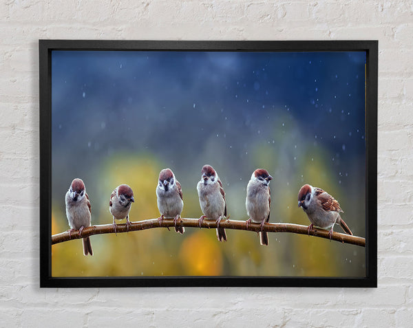 The Tits On A Branch Framed Print
