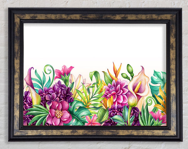Tropical Flowers Framed Print