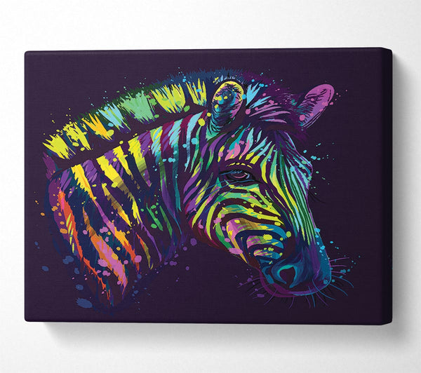  A Canvas Print of Rainbow Zebra Life Canvas Art