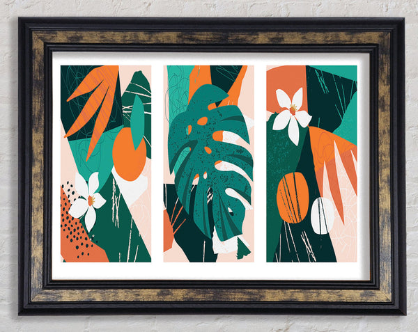 The Modern Cheese Plant Set Framed Print