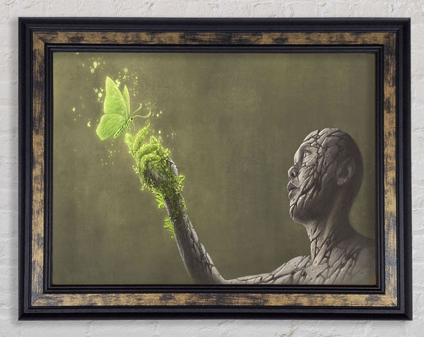 The Plant Butterfly Framed Print