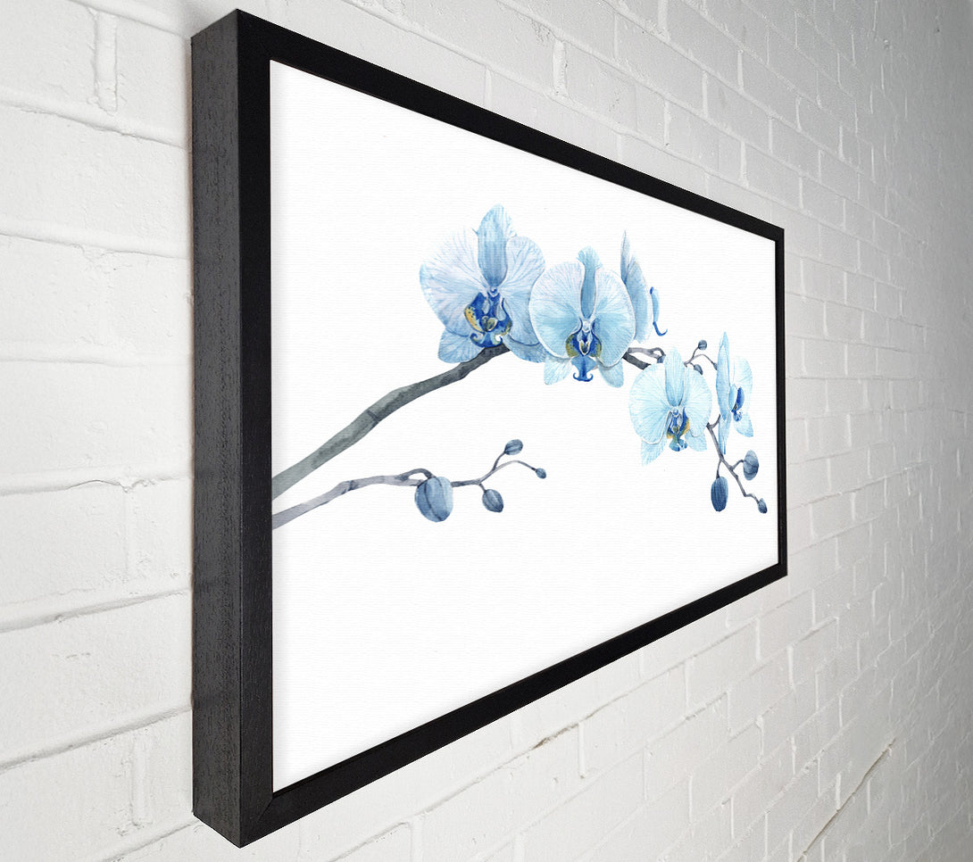  A Canvas Print of The Blue Orchid Curve Canvas Art