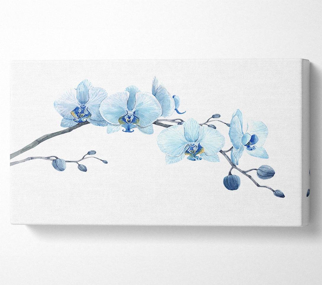  A Canvas Print of The Blue Orchid Curve Canvas Art