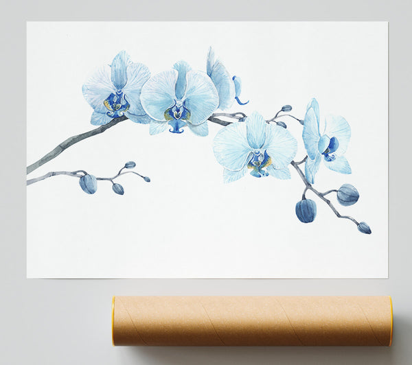 The Blue Orchid Curve Poster
