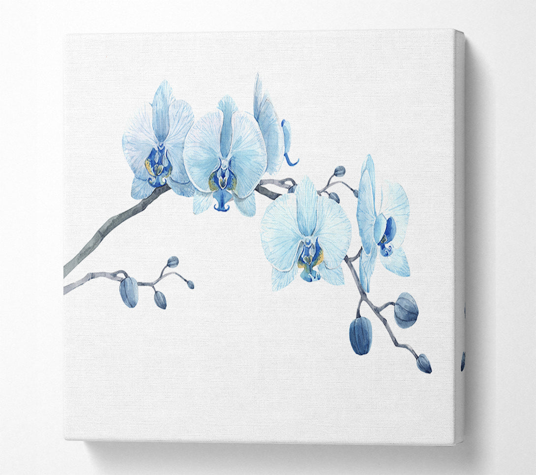  A Canvas Print of The Blue Orchid Curve Canvas Art