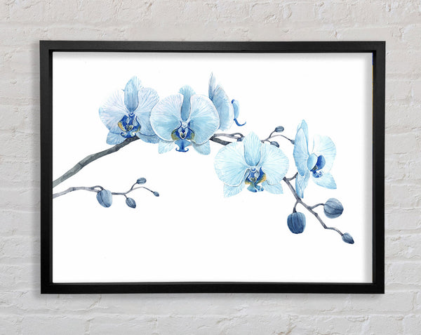 The Blue Orchid Curve Framed Print