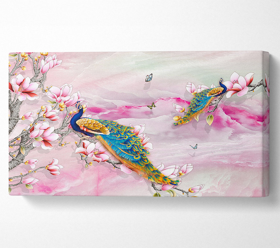  A Canvas Print of Peacock Blossom Branch Canvas Art
