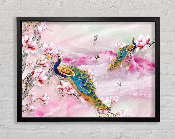 Peacock Blossom Branch Framed Print