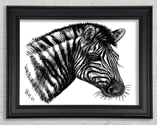 Black And White Zebra Head Framed Print