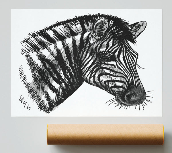 Black And White Zebra Head Giclee Print