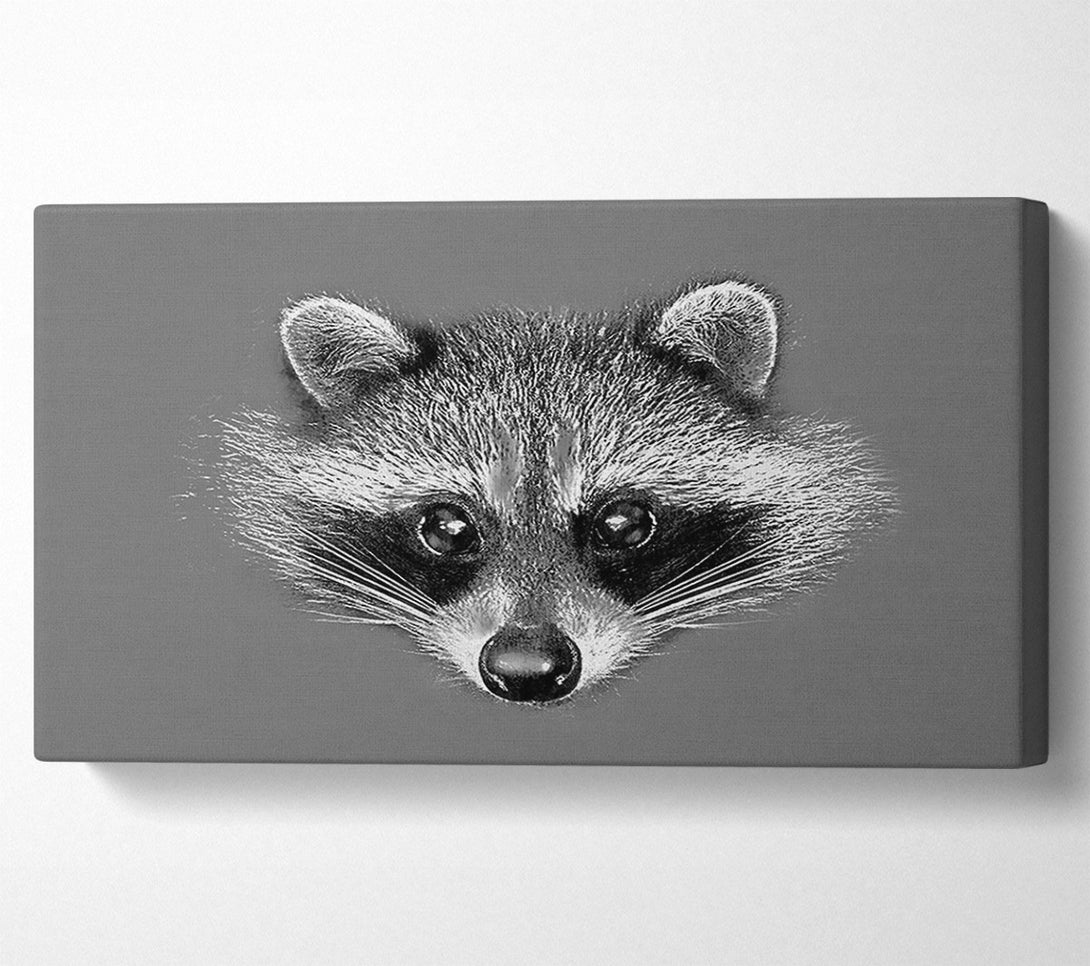  A Canvas Print of Raccoon On Grey Canvas Print