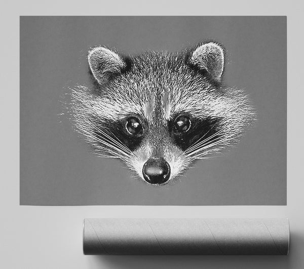 Raccoon On Grey Giclee Print