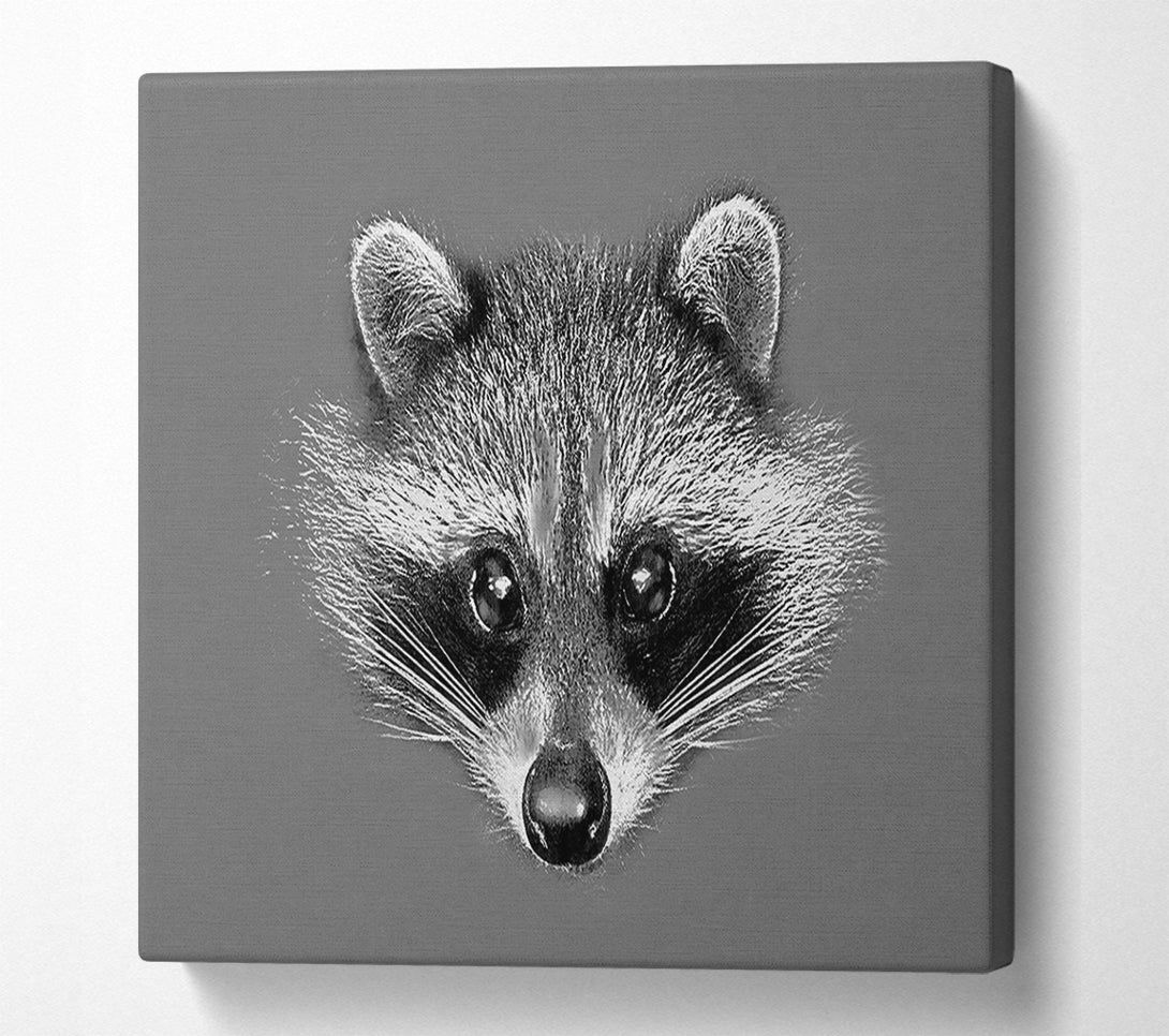  A Canvas Print of Raccoon On Grey Canvas Print