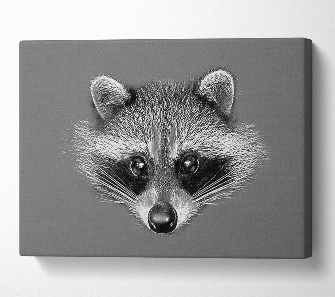  A Canvas Print of Raccoon On Grey Canvas Print