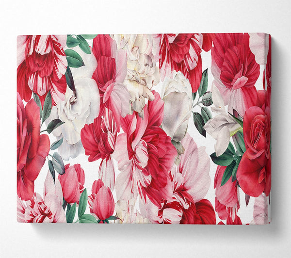  A Canvas Print of Red And Pink Petal Delight Canvas Art