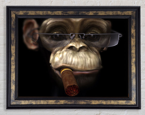 The Chimp Cigar Smoker Framed Print