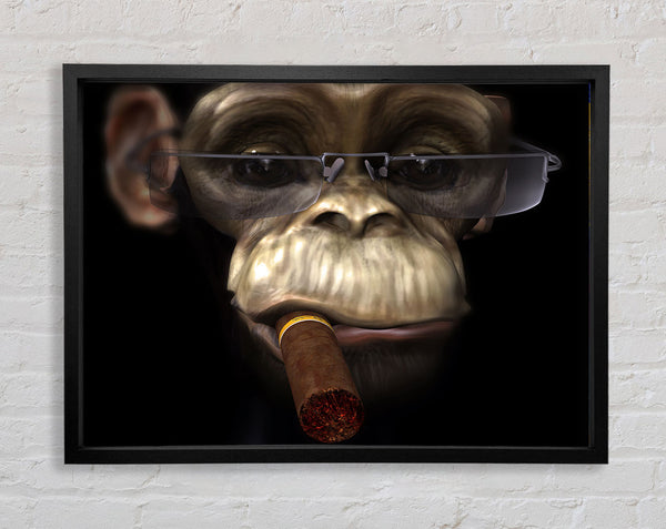 The Chimp Cigar Smoker Framed Print