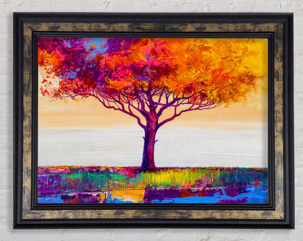 The Orange Tree Paradise Framed Print