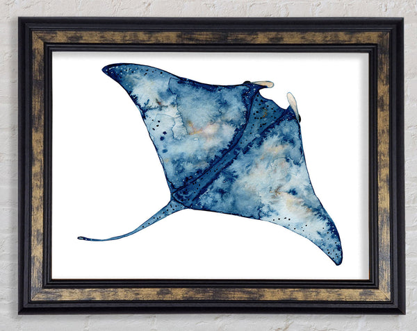 The Mantaray Framed Print