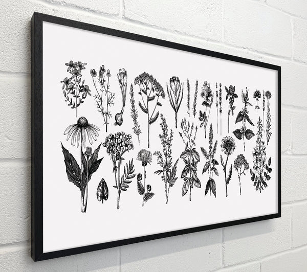 The Small Plant Collection 2