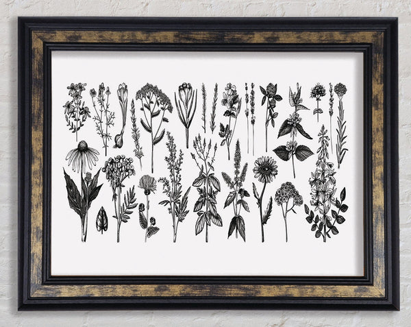 The Small Plant Collection 2 Framed Print