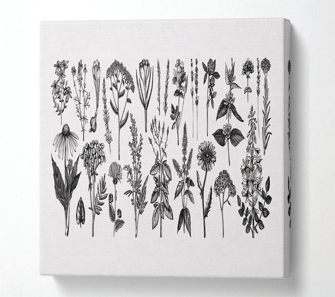  A Canvas Print of The Small Plant Collection 2 Canvas Wall Art