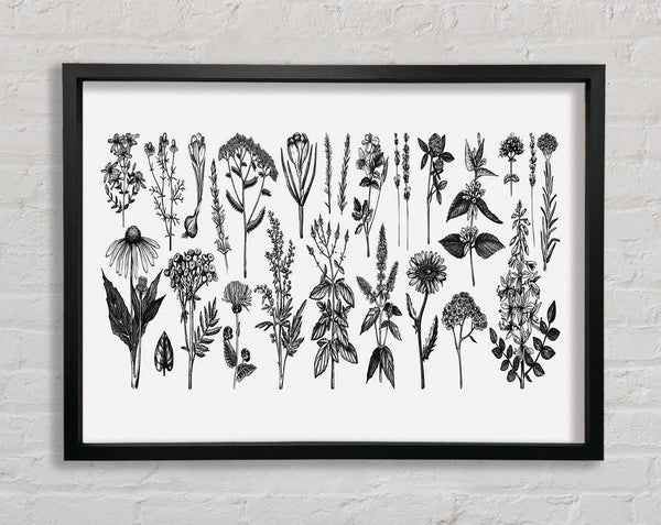 The Small Plant Collection 2 Framed Print