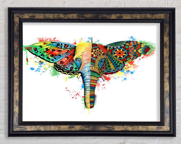 Elephant Ear Butterfly Framed Print