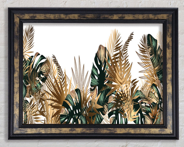 The Gold Leaf Cheese Plant Framed Print