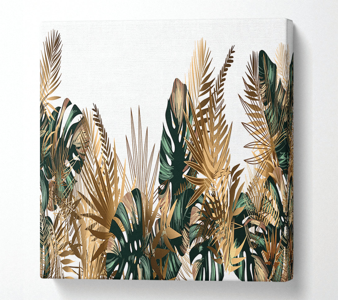  A Canvas Print of The Gold Leaf Cheese Plant Canvas Art