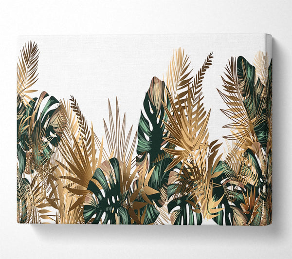  A Canvas Print of The Gold Leaf Cheese Plant Canvas Art