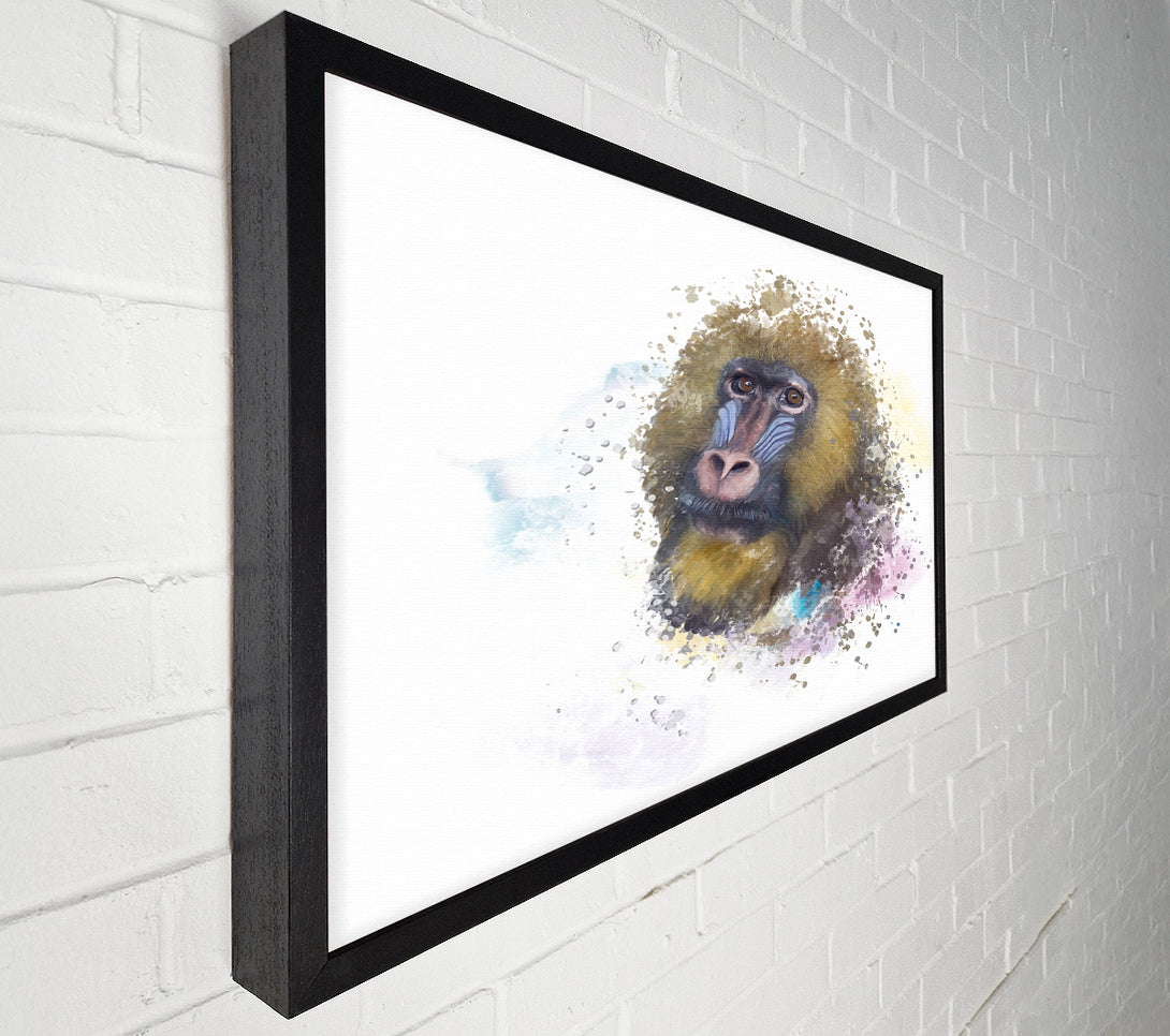  A Canvas Print of Mandrill Watercolour Splash Canvas Print