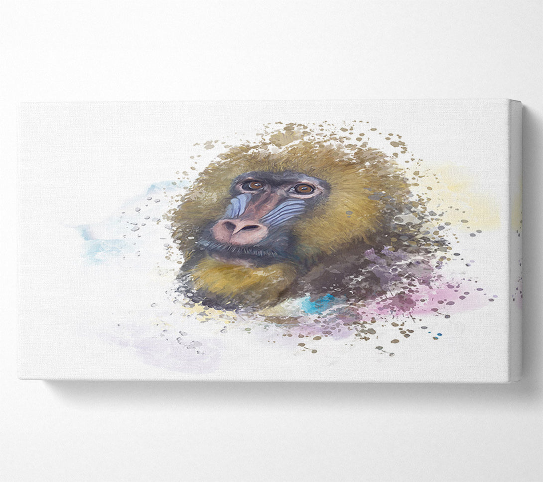  A Canvas Print of Mandrill Watercolour Splash Canvas Print