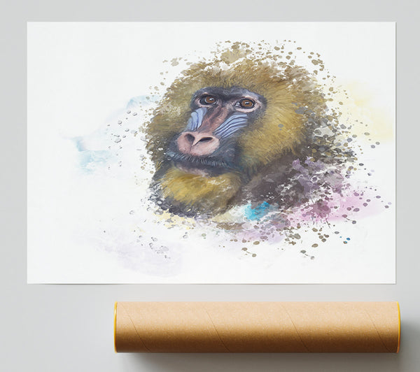 Mandrill Watercolour Splash Giclee Print