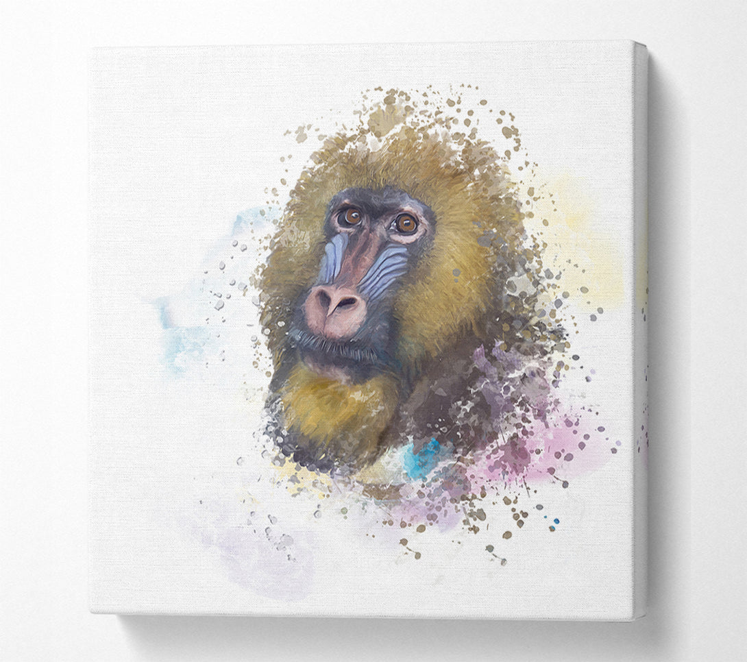  A Canvas Print of Mandrill Watercolour Splash Canvas Print